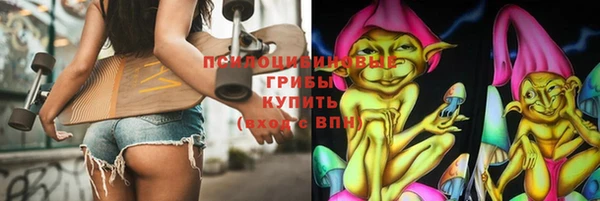 индика Алексеевка