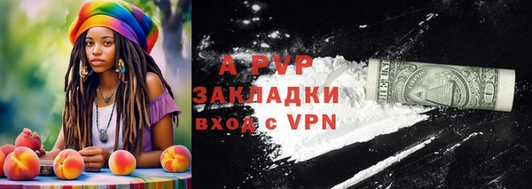 спайс Алзамай